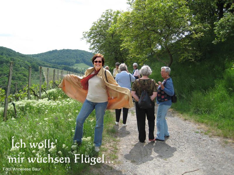 Ich wollt mir wüchsen Flügel... Ich wollt mir wüchsen Flügel...